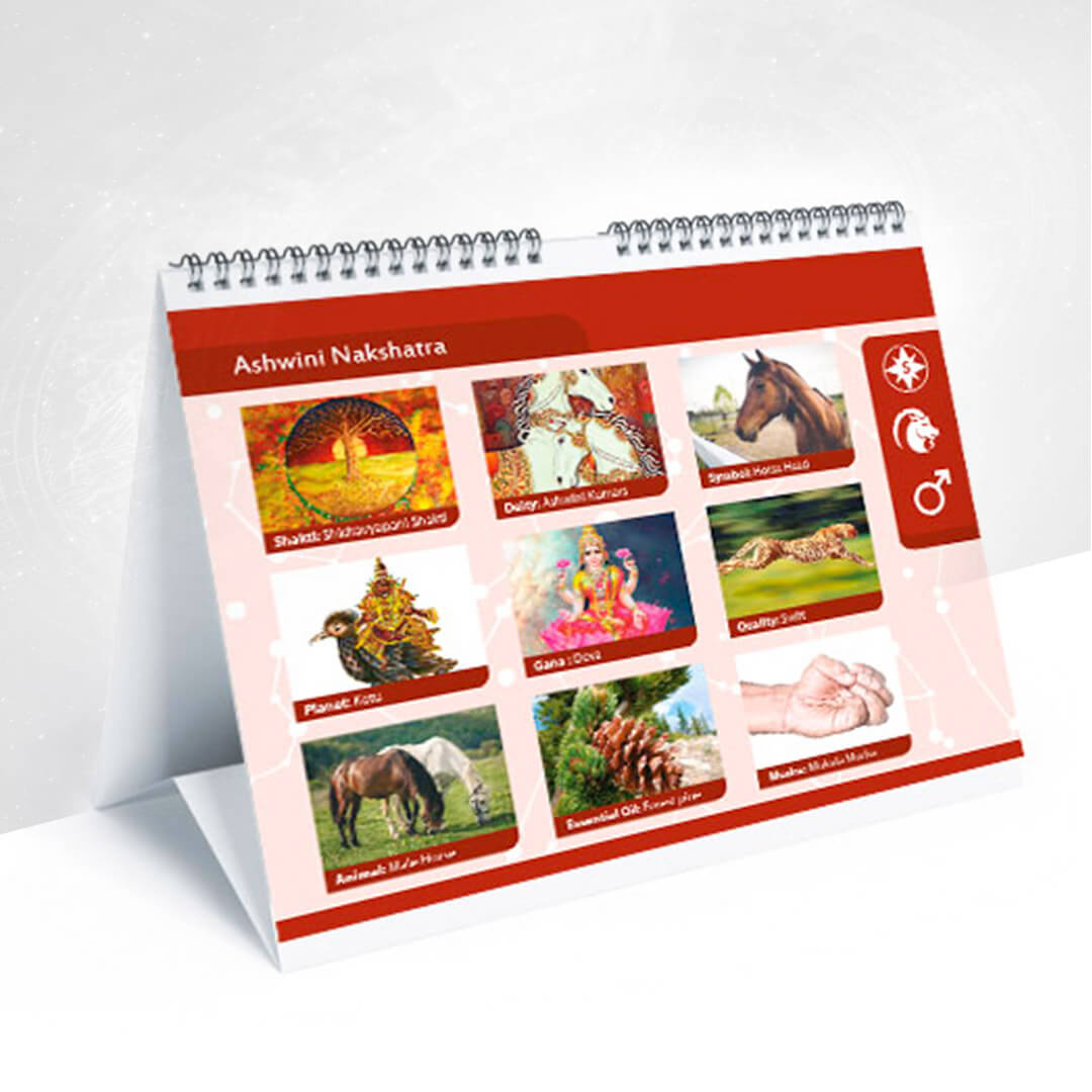 संपूर्ण नक्षत्र + Nakshatra Calendar Combo - Image 2